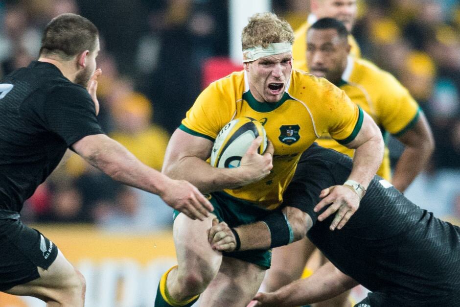 David Pocock Won 78 Caps for the Wallabies . He was a Rugby World Cup Final runner up in 2015 and was nominated for Rugby Player of the Year in 2010, 2011 & 2015 @pocockdavid