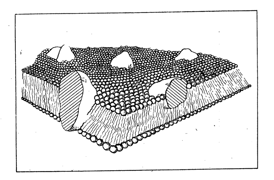 BIOLOGICAL EFFECT OF MILLIMETER RADIOWAVESKiev VRACHEBNOYE DELO in Russian No 3, 1977 pp 116-119 https://www.cia.gov/library/readingroom/docs/CIA-RDP88B01125R000300120005-6.pdf  https://twitter.com/jarue369/status/1248257309832368128