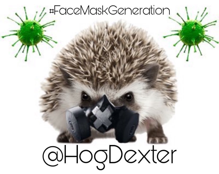 HogDexter's tweet photo. @trinatabberrah 🦠Want your profile pic upgraded so you can join the #FaceMaskGeneration? I’ll do it for FREE... #Dexter19🦠 #FaceMaskGen https://t.co/nZDro6tB2O