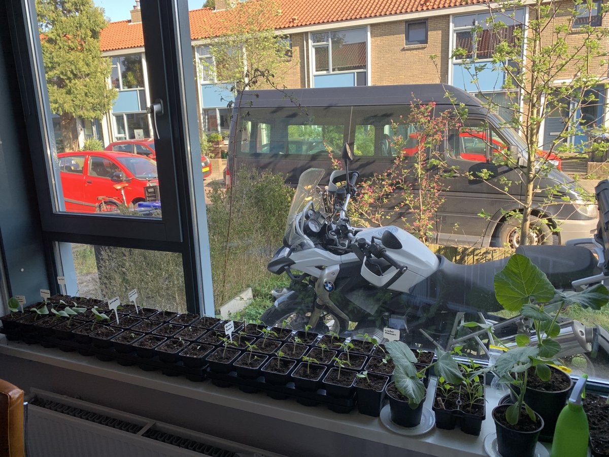 Nobody:
Me every chance I get: "LOOK AT MY PLANTBABIES"