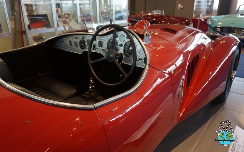 Lemurinviaggio tweet media