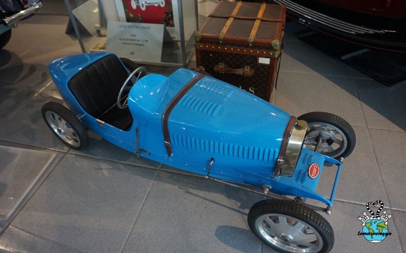 Lemurinviaggio tweet media