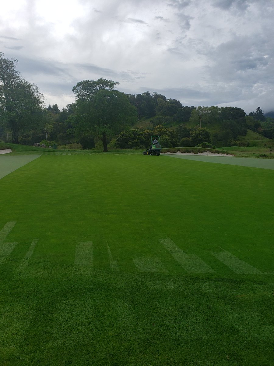 KevinHauschel's tweet photo. First mow post aerification at .130"!! Looking great!! Now I am off to mow rough!! #2mancrew #SocialDistancing #meadowclub1927 #alwaysimproving https://t.co/7NgCOCGlb6