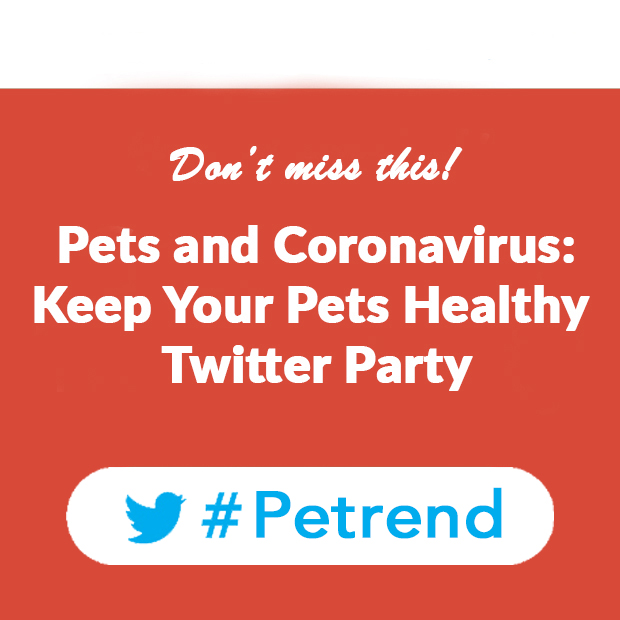 CharlotteReed's tweet photo. Caring for yourself and for your pet #TWITTERparty! TONIGHT @ 7pmEST #Petrend. Giveaways for comments & questions during #Petrend Twitter Party. Sign up: https://t.co/wLHemHevlm #petsafety #pethygiene #socialdistancing #emergencypetplans #furbaby #coronavirusandpets https://t.co/WldpuF6Oti