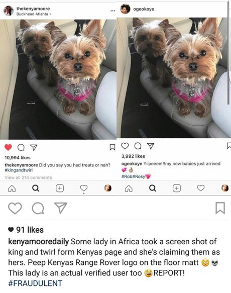 AntiXenophobian's tweet photo. Wetin Oge Okoye no go see for animal picture.
#OgeOkoye
#MIandVector https://t.co/VZcOF0BTnq