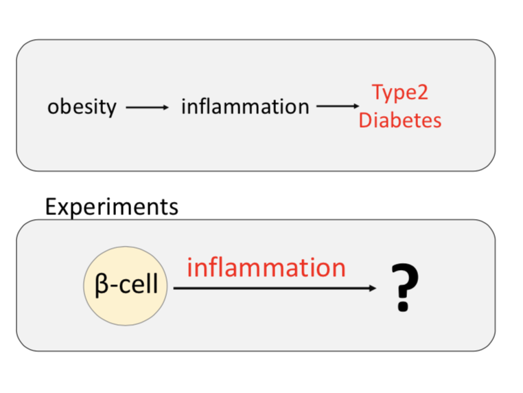 Nunemaker Research Lab tweet media