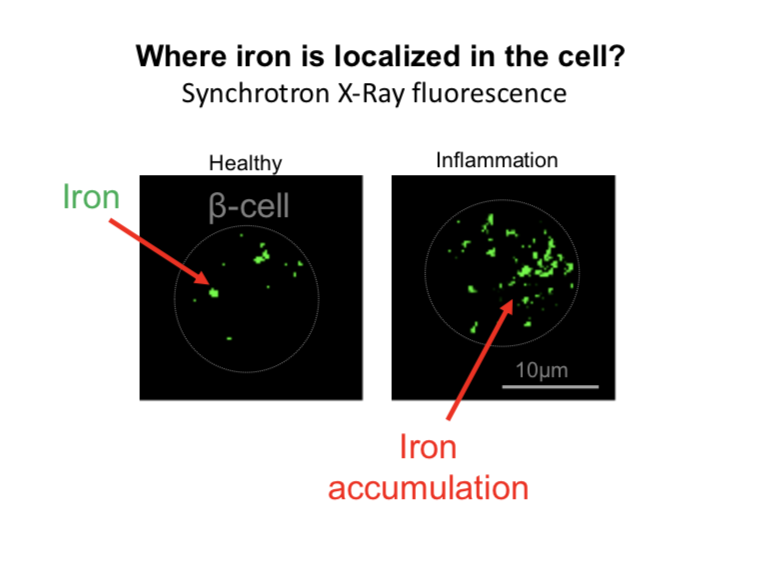 Nunemaker Research Lab tweet media
