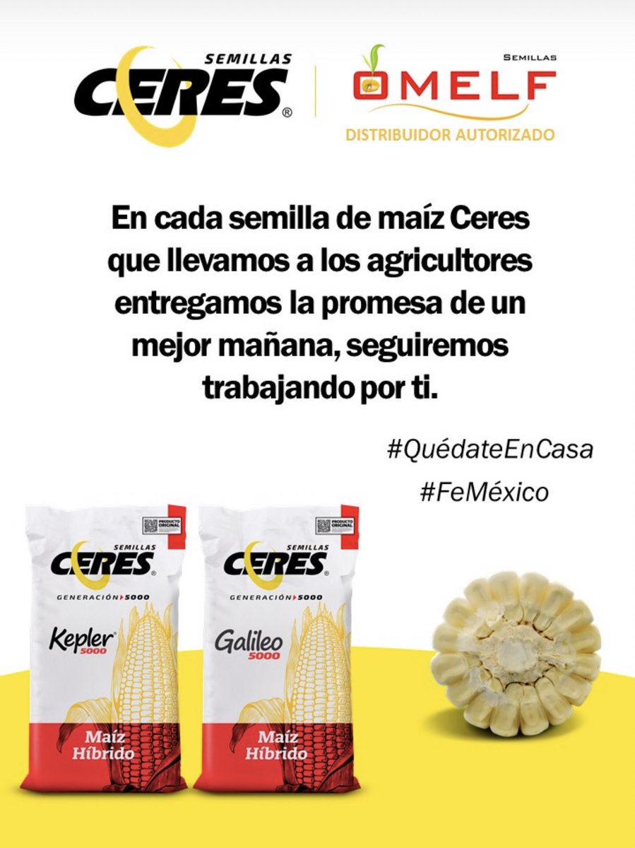 OMELF1's tweet photo. https://t.co/gYVCIb44eL