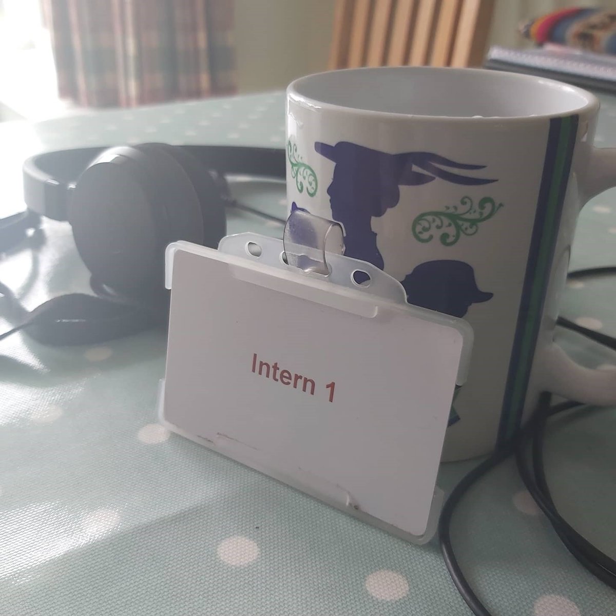 SusiKeane's tweet photo. Today was my last day of #PIPS at @RoyalSocBio . Despite the weird ending, I've had such a wonderful experience! I got to work with a fantastic group of people! I've learnt so much and I'm so grateful to everyone at RSB for giving giving me the best PIPS ever! #intern1 https://t.co/8HDL77Z5ng