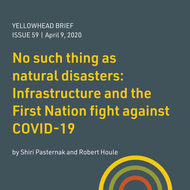 Yellowhead_ tweet picture