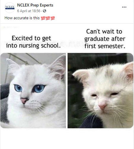 NCLEXprepexpert's tweet photo. Totally😅😂 https://t.co/97Zi6knf0v