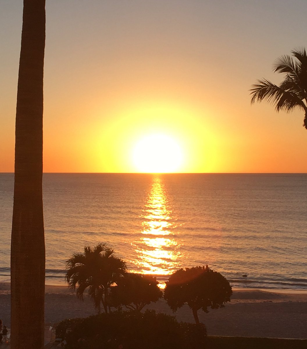 David Staal tweet media