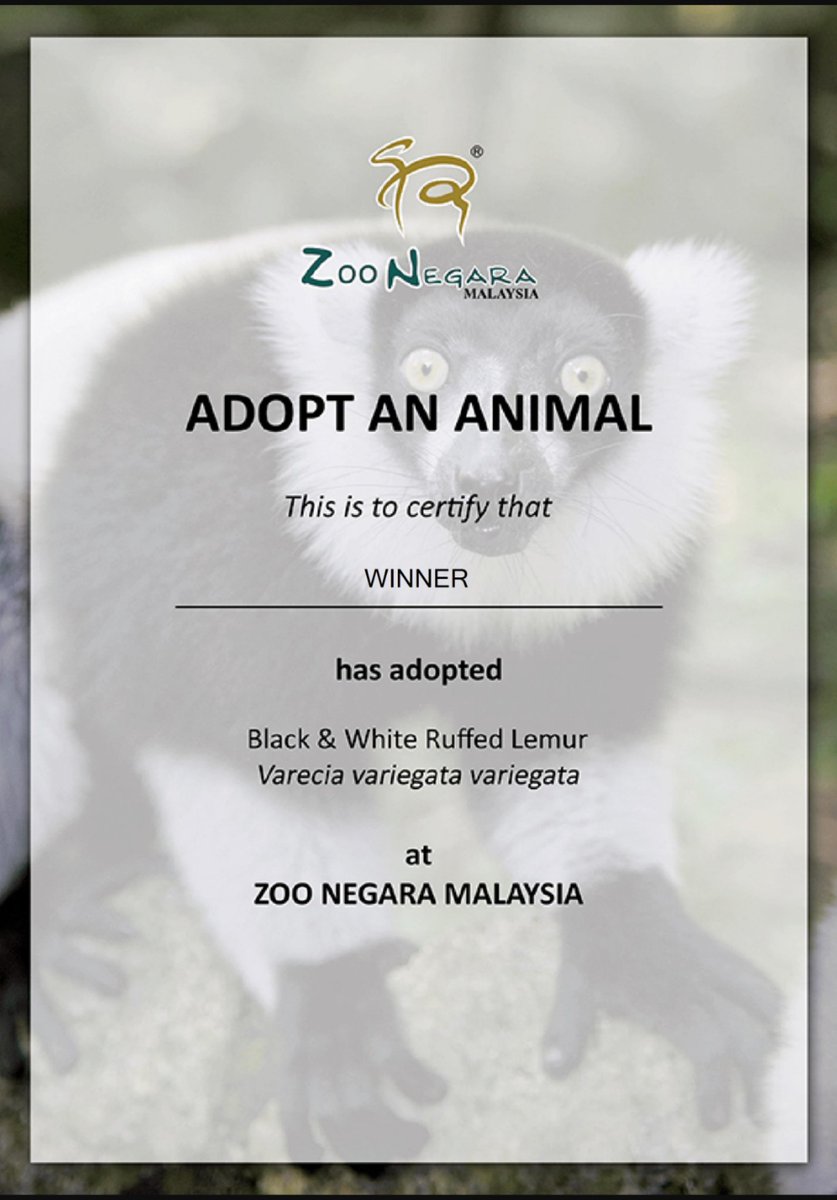 helloimchiawei's tweet photo. Adoption ☺
#zoonegaramalaysia
#WIINNER https://t.co/EWGQWwM6UP