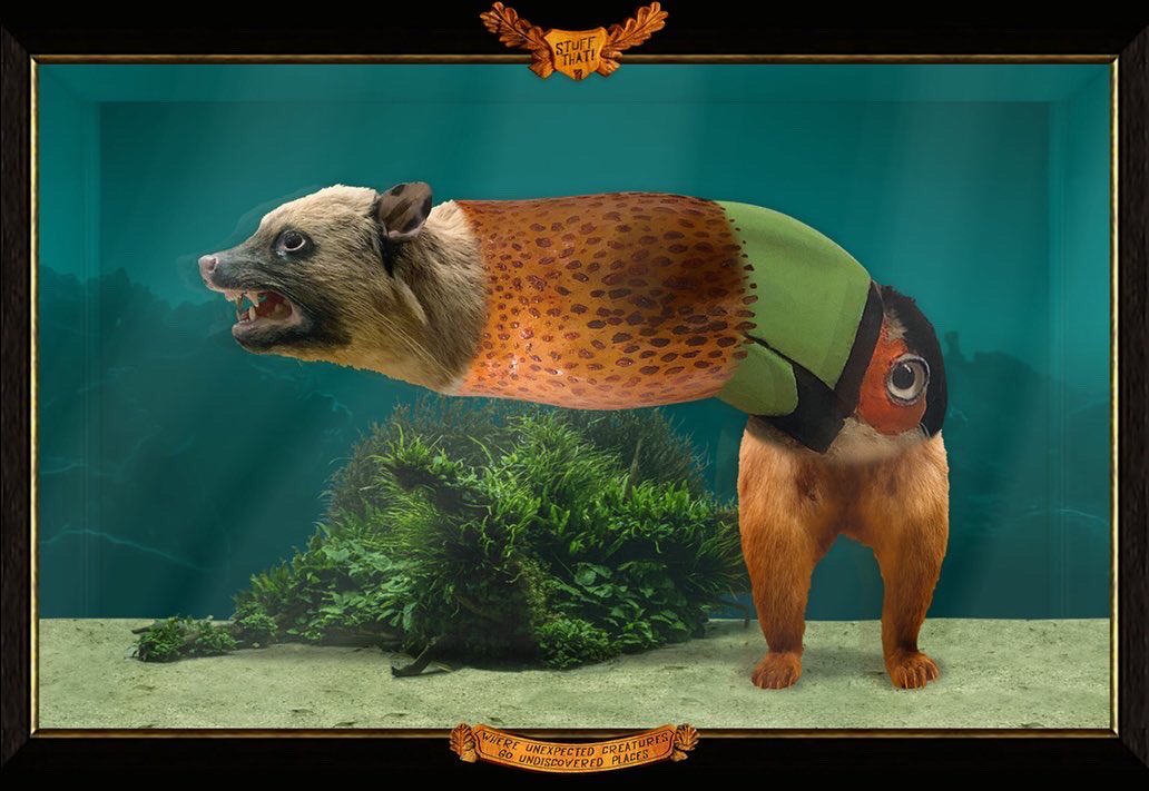 makeitredlondon's tweet photo. A cheeky little collection of some of our favourite Stuff That beasts from the week. If you’ve not had a go yet, get stitching...
https://t.co/rRysjrsKW5
#makeitred #stuffthat #taxidermyart  #drfrankenstein #drmoreau #equisitecorpse https://t.co/zzhtwwgCdm
