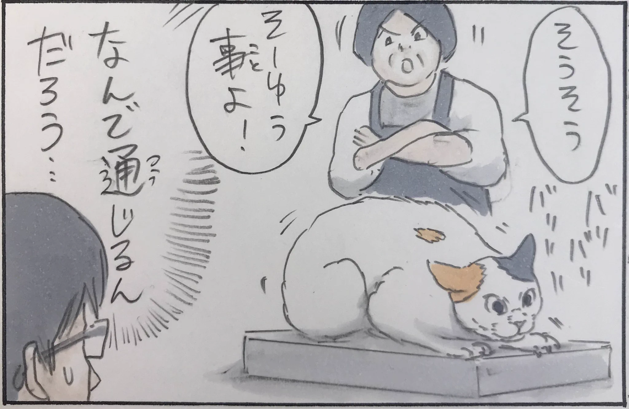 なんで通じるのｗｗ猫への注意の仕方を描いた漫画が面白い！
