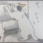 なんで通じるのw猫への注意の仕方を描いた漫画が面白い!