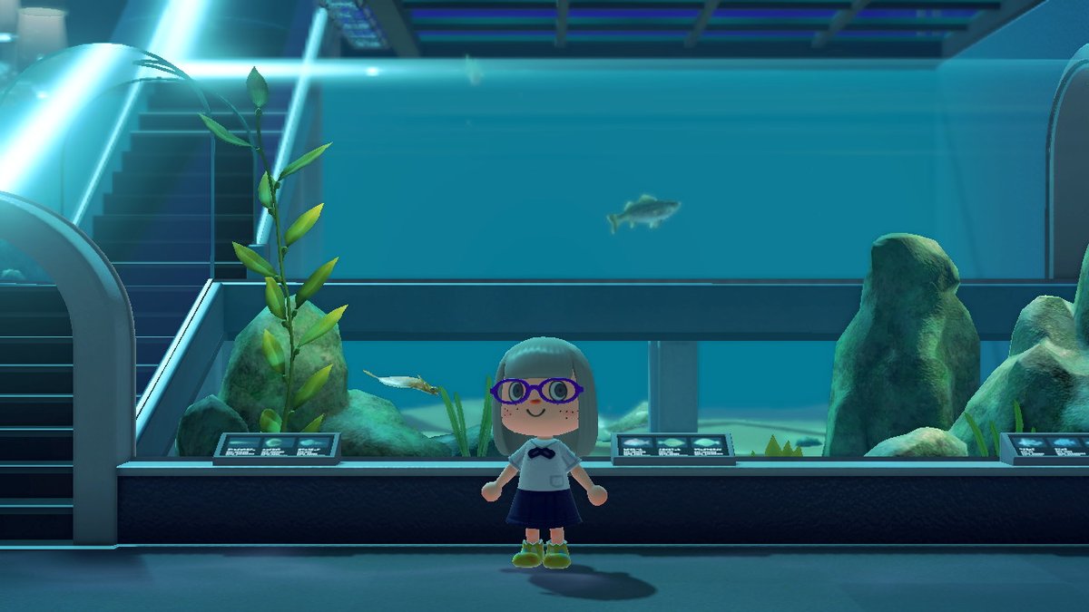 GnapPyk's tweet photo. #AnimalCrossing #ACNH #NintendoSwitch https://t.co/v92fwJvWEE