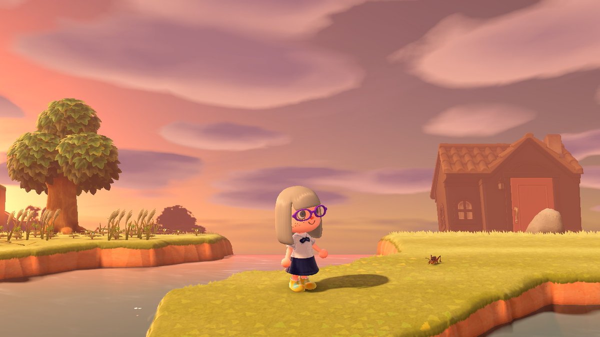 GnapPyk's tweet photo. #AnimalCrossing #ACNH #NintendoSwitch https://t.co/v92fwJvWEE