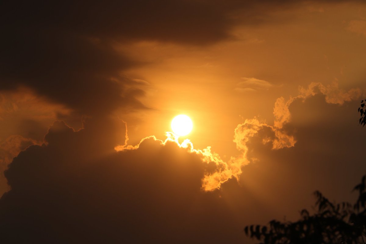 StiveSurya's tweet photo. New sun pic capture me @luckey_star10 https://t.co/Ui6noKMki1