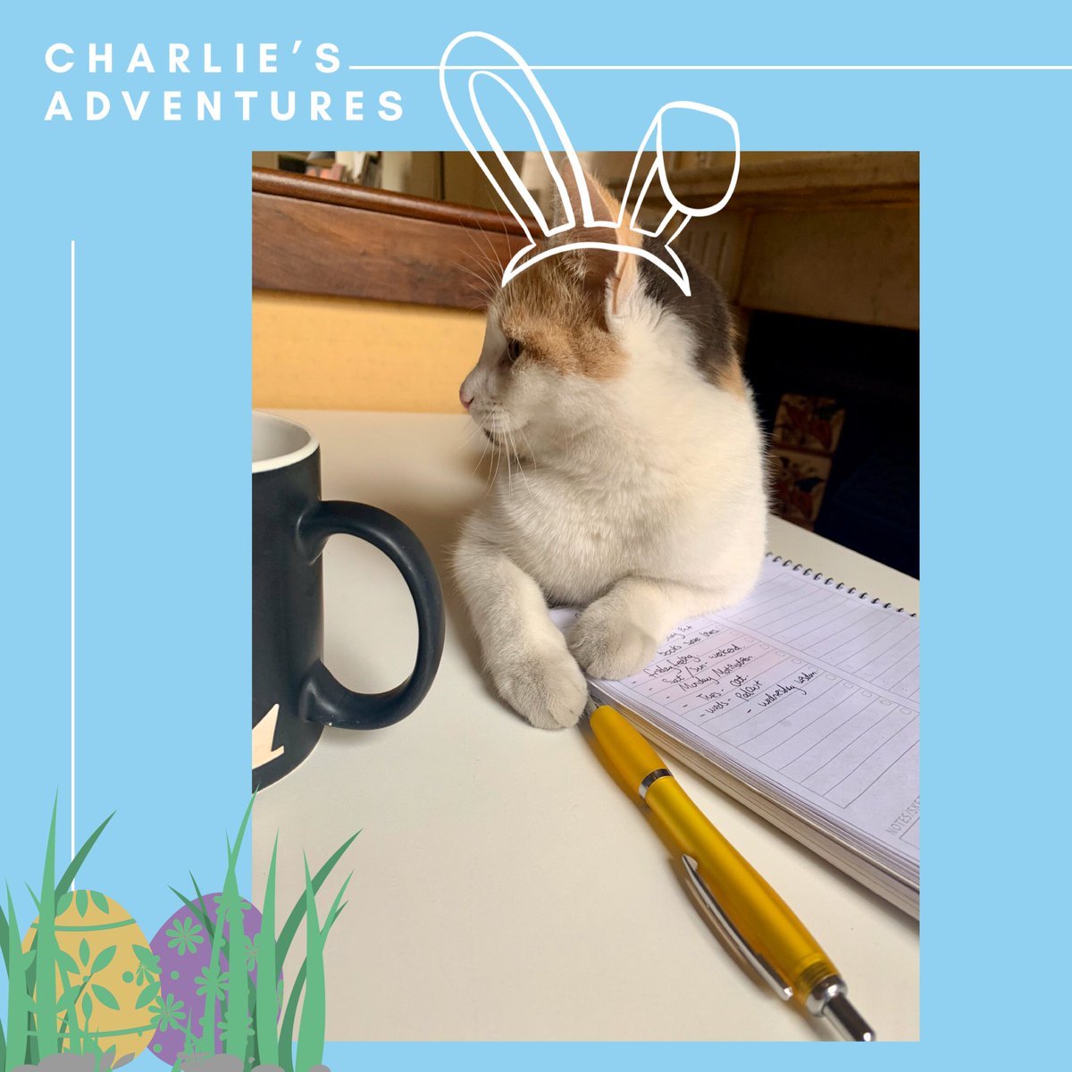 We’ve got a special Easter edition of #CharliesAdventures for you. #CatsinPublishing #CatsOfTwitter  #catsofquarantine #EasterAtHome