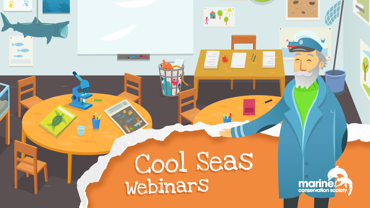 mcsuk's tweet photo. Are you a teacher, home schooling or want to engage children with our seas? 🦀🐳🐠 Get involved with our #CoolSeas webinars! We'll be bringing the #OceanIndoors with education sessions on Zoom starting from Tuesday 21 April. Find out more and register now: https://t.co/CMgIwyKfpR https://t.co/Qwt4JhY3Q2