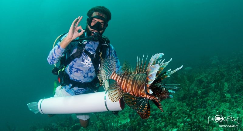 ScubaverseMedia's tweet photo. Pure Grenada Dive Fest – Lionfish Awareness. The final day of the festival saw the local dive centres compete in a lionfish hunt. @grenadadiving @discovergrenada #GrenadaDreaming #DiveFest #Caribbean #dive #travel @AquanautGrenada #Grenada #PureDiveFest
https://t.co/yroleUNyix https://t.co/ETvvgCzB8q