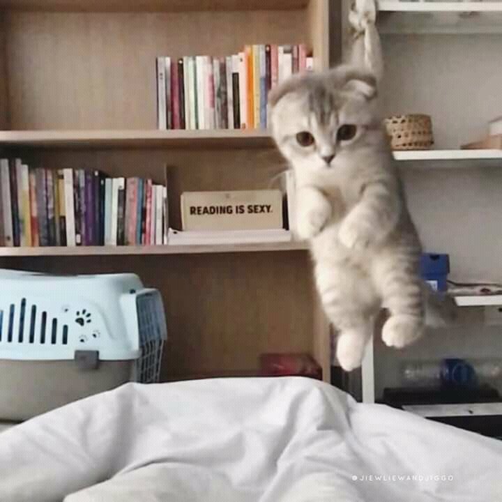 🏄♀️มุมุⓂ️₊⊹ tweet media