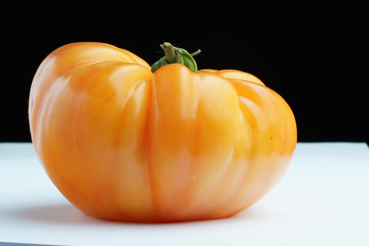 PowersFlowers's tweet image. Marizol Gold is an heirloom variety from Germany 🍅 #ATomatoADay 🍅 More here facebook.com/TotallyTerrifi… 
We’ll have more tomatoes on Tuesday 😊 
Stay home and water your 🍅 seedlings 🍅
Read more 
#TTTomFest20 #TomatoLove