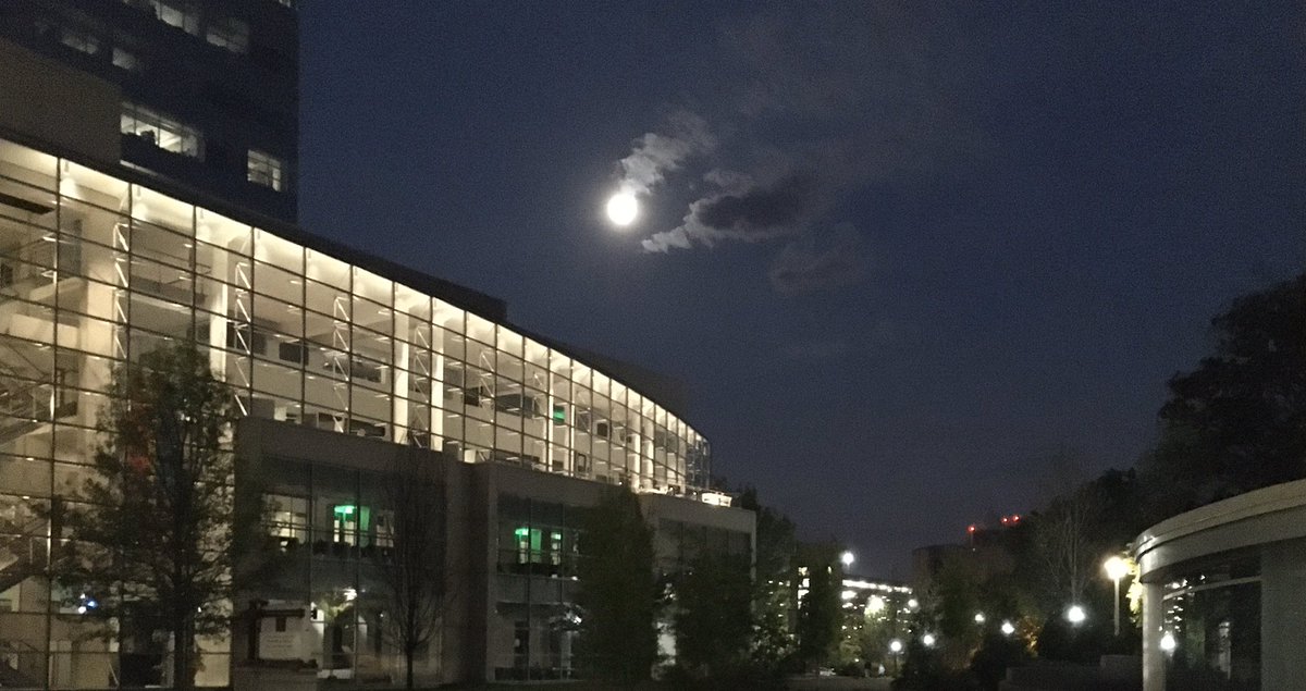 Hartmann_KE's tweet photo. Dawn screening crew is rocking in the moonlight over Eskind Library @VUMChealth. Have screened 100s in prior days with no fevers. #crushingcovid #inthistogether #thankahero https://t.co/WCqDShGOzj