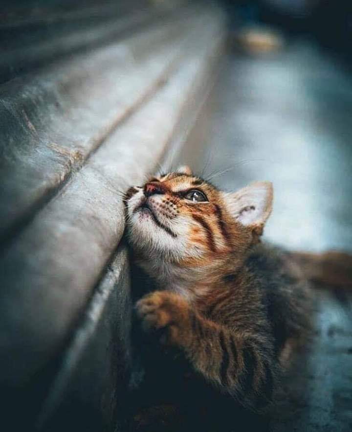 ويحَسبون كسر الروح هَيناً وهو عِند الله عظيم♥️