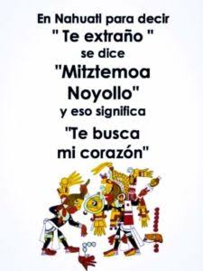 TlacatecolotlMX's tweet photo. @Al_Ruiiz #apapachopoderoso 
#FelizJueves https://t.co/6S5RdimdJo