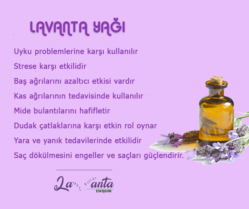 Bugün #LavantaYağı hakkında bilgilerimizle sizlerleyiz
#eskişehir #eskişehirlavantabahçesi #lavanta #levander #lavantaeskişehir #eslavanta #lavantaes #lavantaaşkı #lavantasehri #celalpetrol #celalpetrolurunleri #lavantabahce #bahcelavanta #lavantabahcesi #lavantalar #lavantabalı