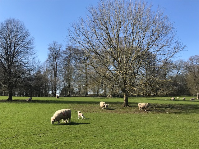 Schoolswwide's tweet photo. Take time out from all your hard work trying to teach remotely. Enjoy a well-earned Easter break with the sun, hopefully continuing to shine. We’ll keep you posted with some inspiring travel snippets soon...
https://t.co/WBvzaIwtzB https://t.co/ElLM8zZa8q
