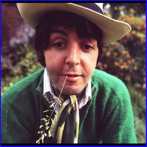 paul mccartney as cheese—a thread.