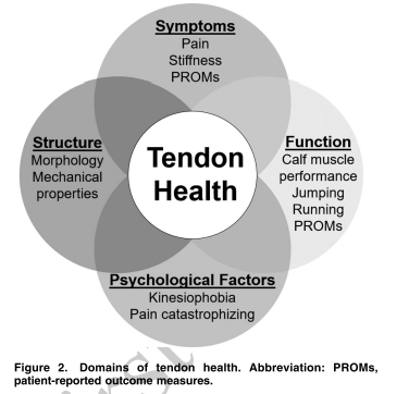 PhysioMeScience's tweet photo. Current Clinical Concepts: Conservative Management of Achilles Tendinopathy

👀🦶🦶👇👇

https://t.co/cafk3Tk7d6 https://t.co/nhP30F0aGN