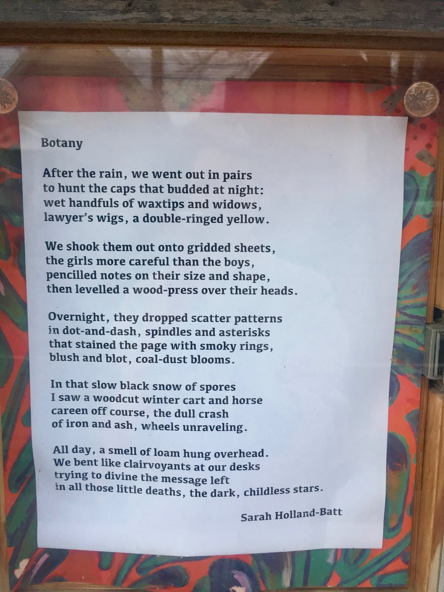 quittyprickly's tweet photo. Now on the #poetree Botany by @the_shb. Lots of people reading it! #poetrywillsavetheworld https://t.co/jdWKX1ABjx