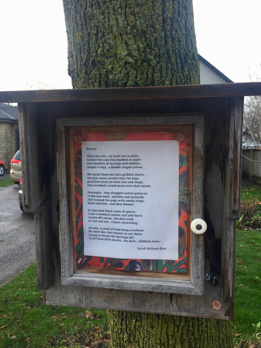quittyprickly's tweet photo. Now on the #poetree Botany by @the_shb. Lots of people reading it! #poetrywillsavetheworld https://t.co/jdWKX1ABjx