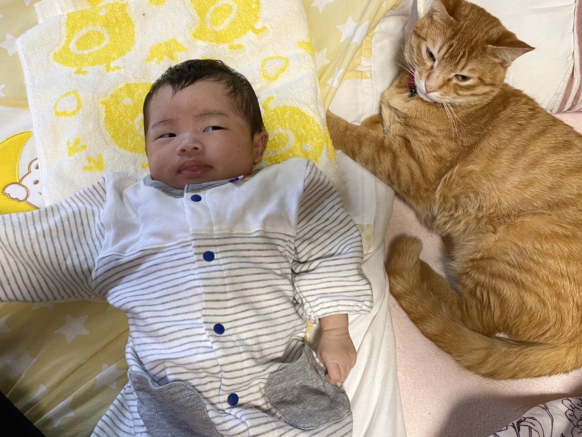 いじくり こんにゃく 面白茨城弁辞典 いばらきの方言 単語 例文集 Govotebot Rga Com