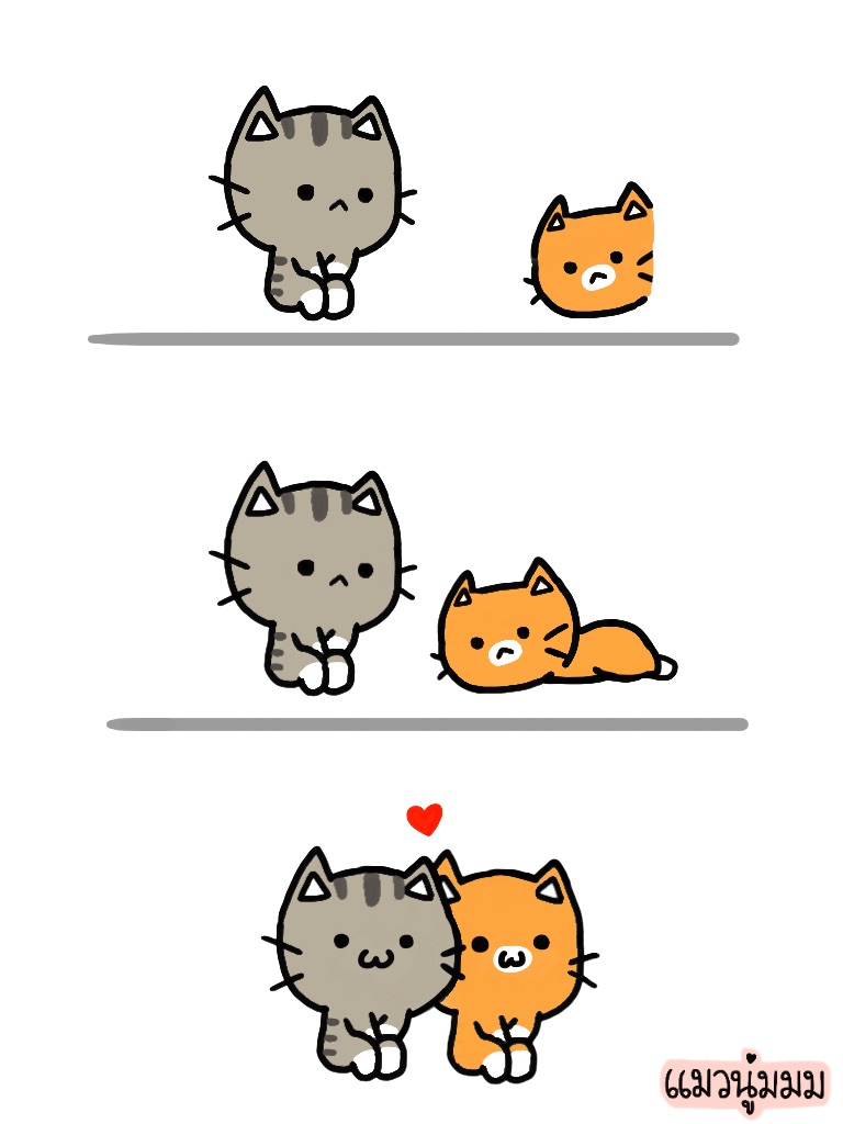 softcatgoaround's tweet photo. ที่ข้างๆยังว่างนะ😊 #แมวนู่มมม #อยู่บ้านหยุดเชื้อเพื่อชาติ #เคอร์ฟิว24ชม https://t.co/YfFw3Y9ctZ