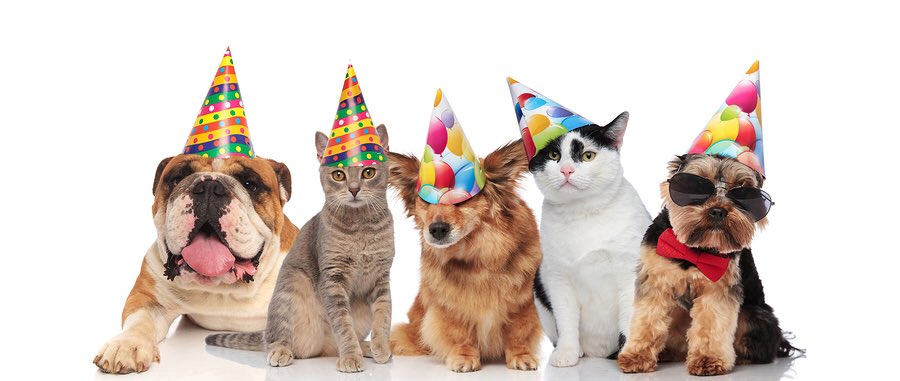 Happy 17th birthday <a href="/VantageMotorGrp/">Vantage Motor Group</a>! Wishing you many happy returns! Sending our best wishes to you and the team at this extraordinary time.