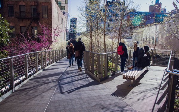 AustinSmithLord's tweet photo. Why we love this iconic urban landscape....
Pics taken 2016 by A-S:L's James Davison at #NewYork High Line #highlineNY #WorldLandscapeArchitectureMonth #WLAM2020 #ChooseLandscape #ThisIsLandscape #LifeGrowsHere #LandscapeArchitecture #LandscapeDesign https://t.co/gVv2eExM8Z https://t.co/aSF3U6avTu