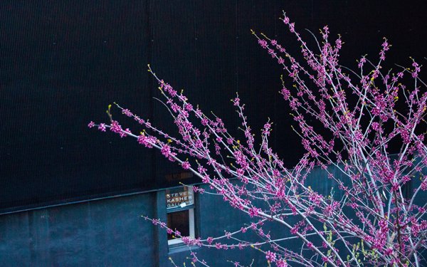 AustinSmithLord's tweet photo. Why we love this iconic urban landscape....
Pics taken 2016 by A-S:L's James Davison at #NewYork High Line #highlineNY #WorldLandscapeArchitectureMonth #WLAM2020 #ChooseLandscape #ThisIsLandscape #LifeGrowsHere #LandscapeArchitecture #LandscapeDesign https://t.co/gVv2eExM8Z https://t.co/aSF3U6avTu