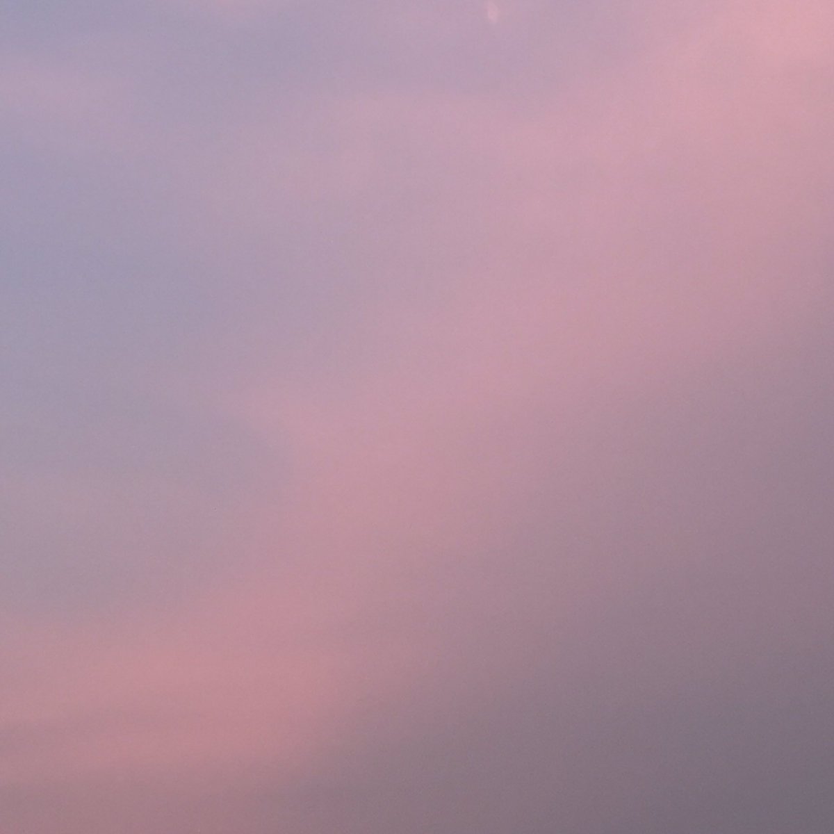 ɹǝd tweet media