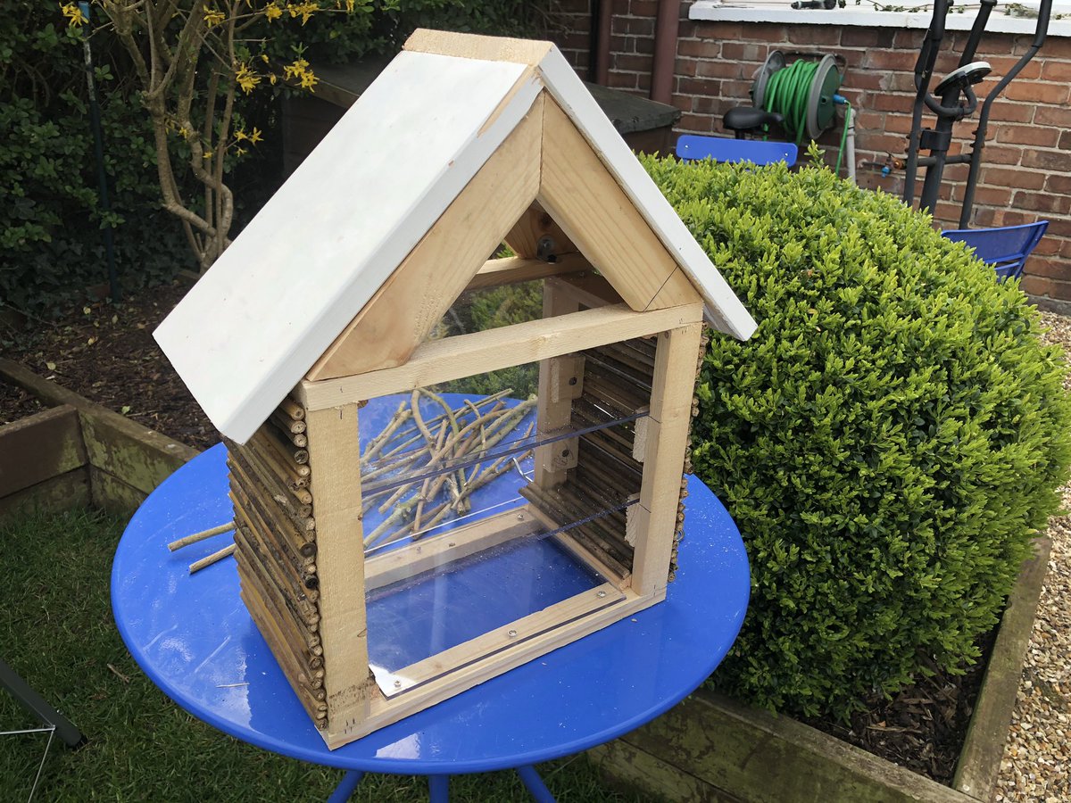 laney03062016's tweet photo. @StAnnesOrmskirk Lacey’s bug house is finally finished!!! Thanks daddy for your help 😘 https://t.co/tjAMV9QC1C