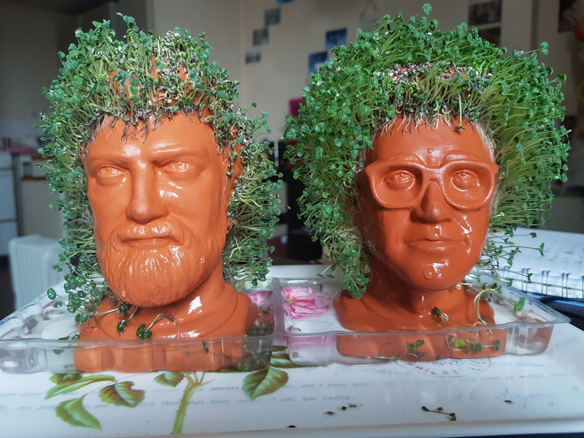SquishyFishy9's tweet photo. Peak bloom now I think. Rhett isn't as green and voluminous as Link, but that's okay. We're all just doing our best.
#ChiaPets #ApocalypsePals #GoodMythicalMorning https://t.co/Yq6v6U7ZUc