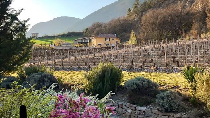 Ne pas compter les jours... mais faire en sorte que les jours comptent 😉💕💐! #LaVigneContinue au <a href="/DomaineAllemand/">Domaine Allemand</a> et ailleurs ...
( French expression to say :  "Don't count the days ... But make the days count 😉💕💐 !" )