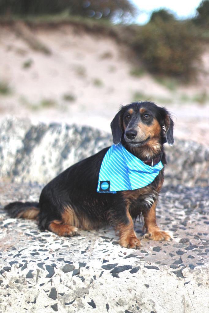 Ellie Redfern tweet media