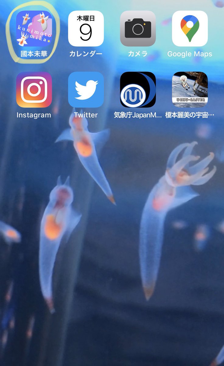 町谷 Kunimotomika 待ち受け画像 壁紙 もクリオネじゃないですか しかも 1匹はバッカルコーン クリオネで遊ぶ おうち時間を思い出した 今日と明日のjnnニュース 天気予報の担当がんばってね Twitter