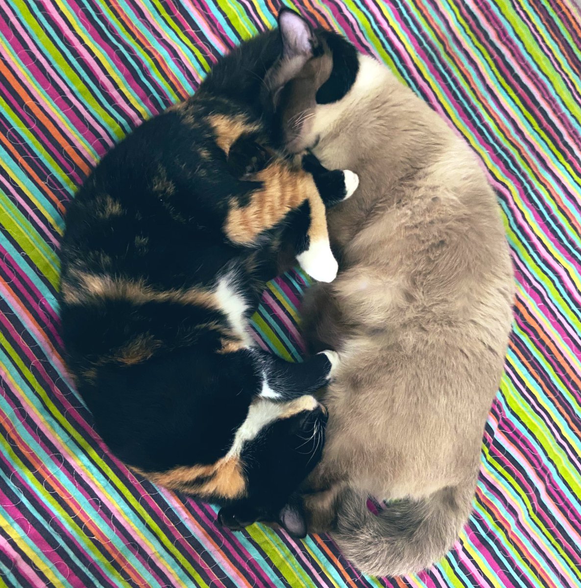 #Love 💕
Cuando conectas con alguien así💕