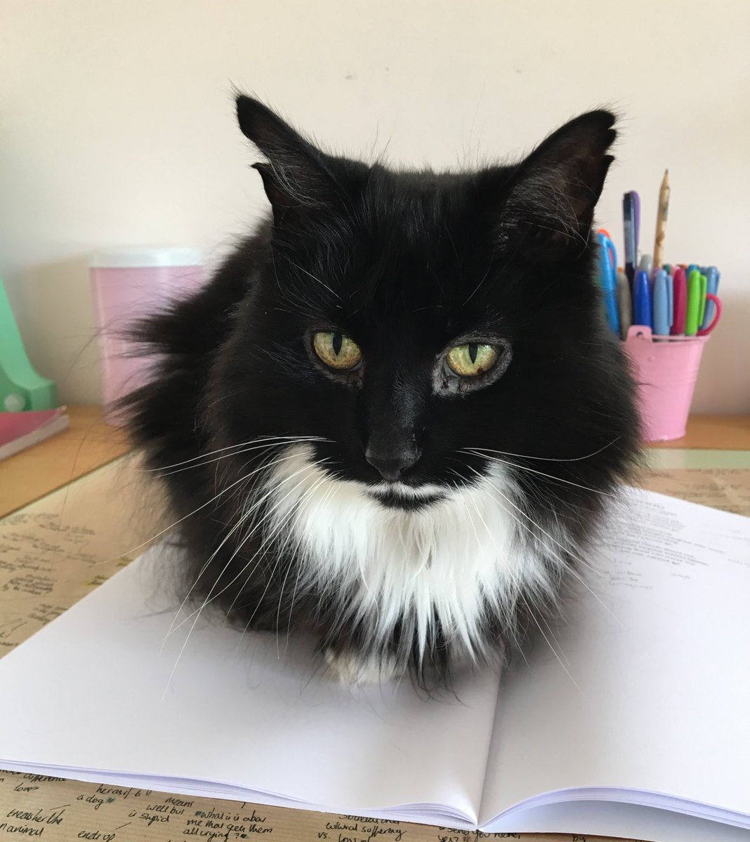 amelia_rivett's tweet photo. @readingfestAHS Do you think you could have a go at Twinkle please? 😄 https://t.co/75lfBA1qHl